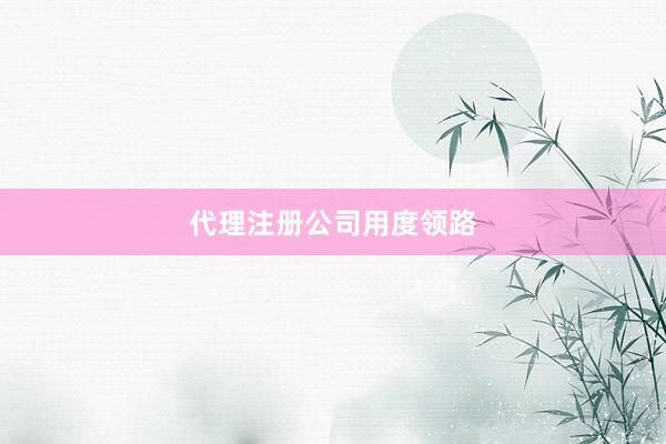 代理注册公司用度领路