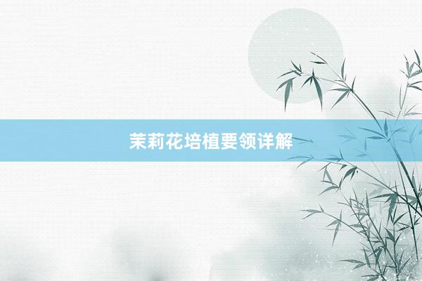 茉莉花培植要领详解