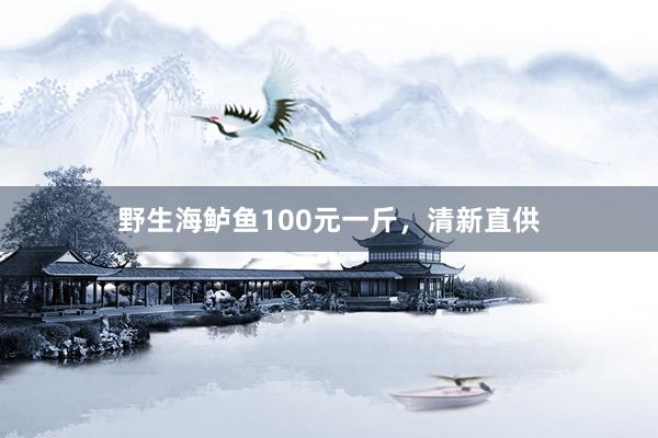 野生海鲈鱼100元一斤，清新直供