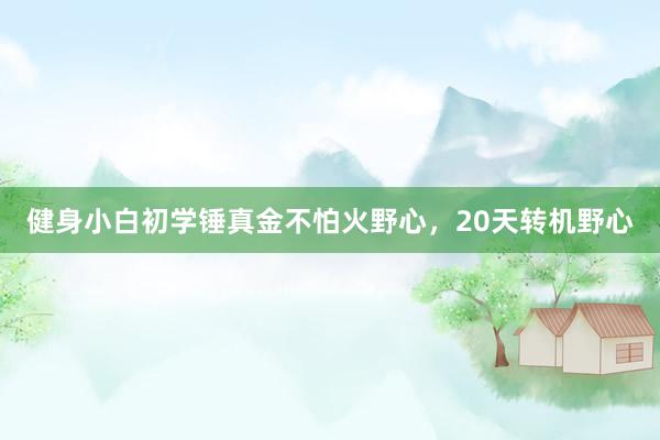 健身小白初学锤真金不怕火野心，20天转机野心