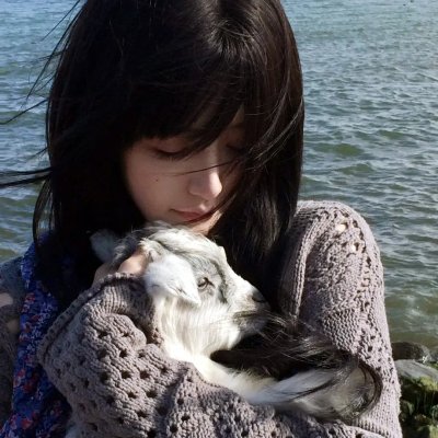 猫头鹰之森